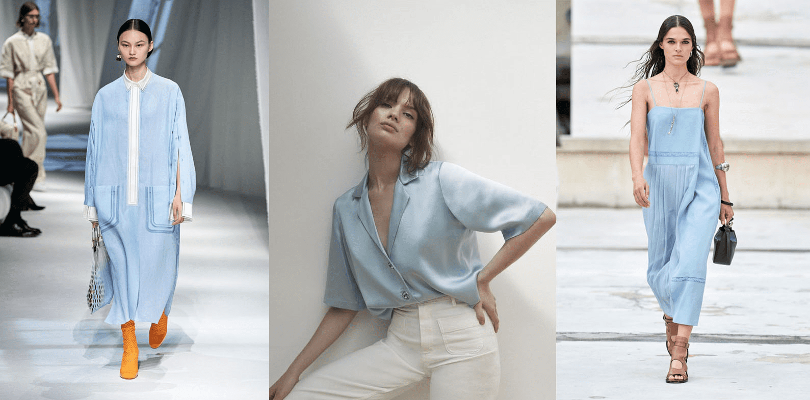 His Majesty Heavenly Blue