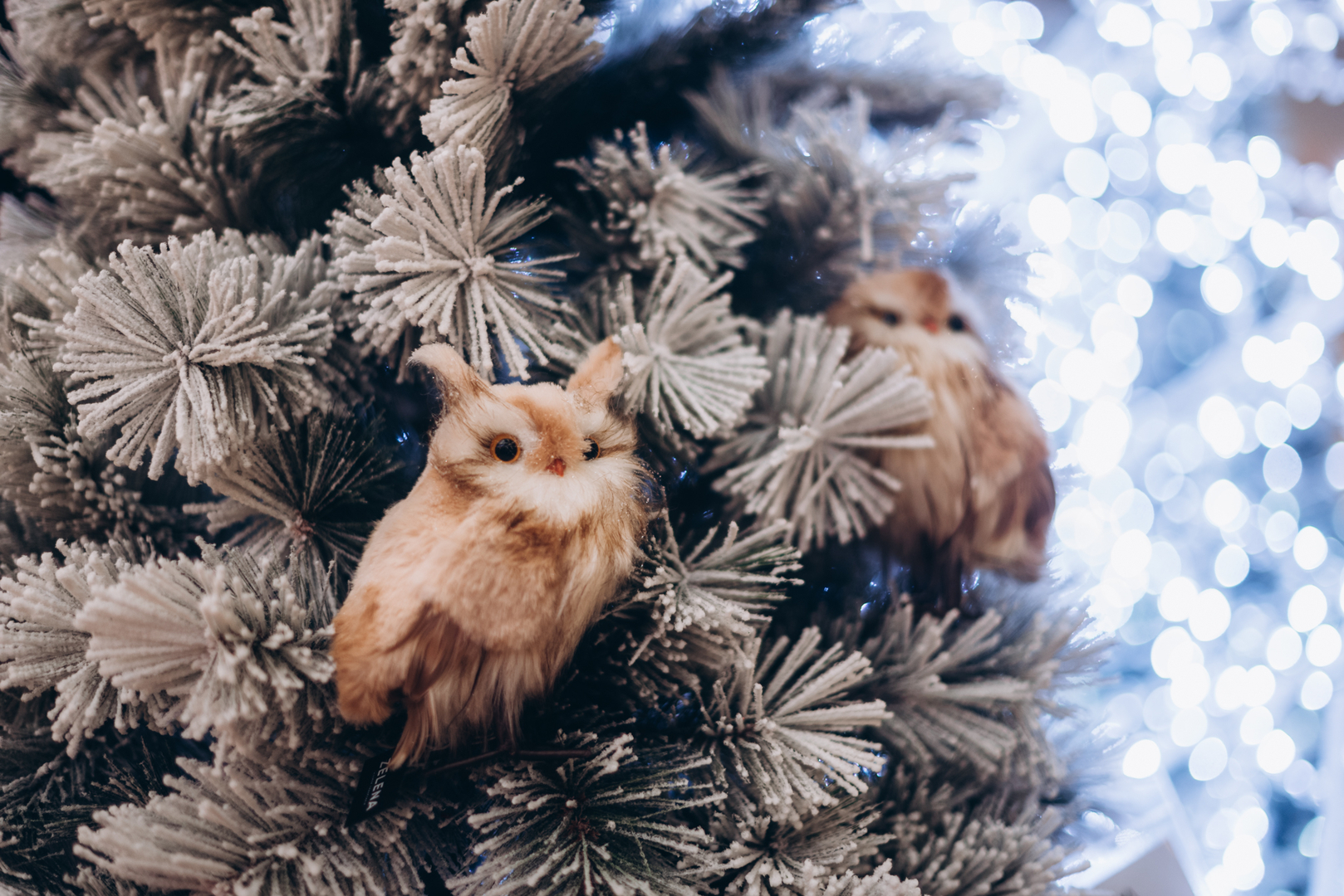 Новорічний декор 2024 в ТРЦ Gulliver image-12