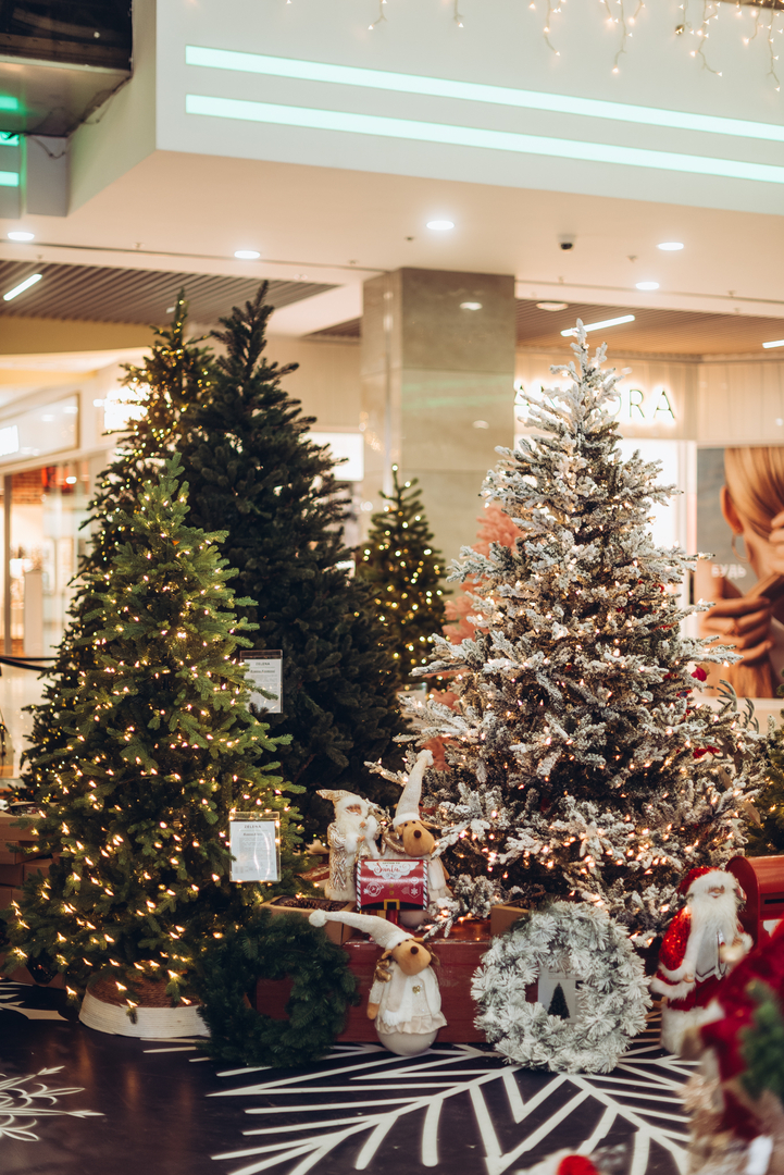 Новорічний декор 2024 в ТРЦ Gulliver image-53