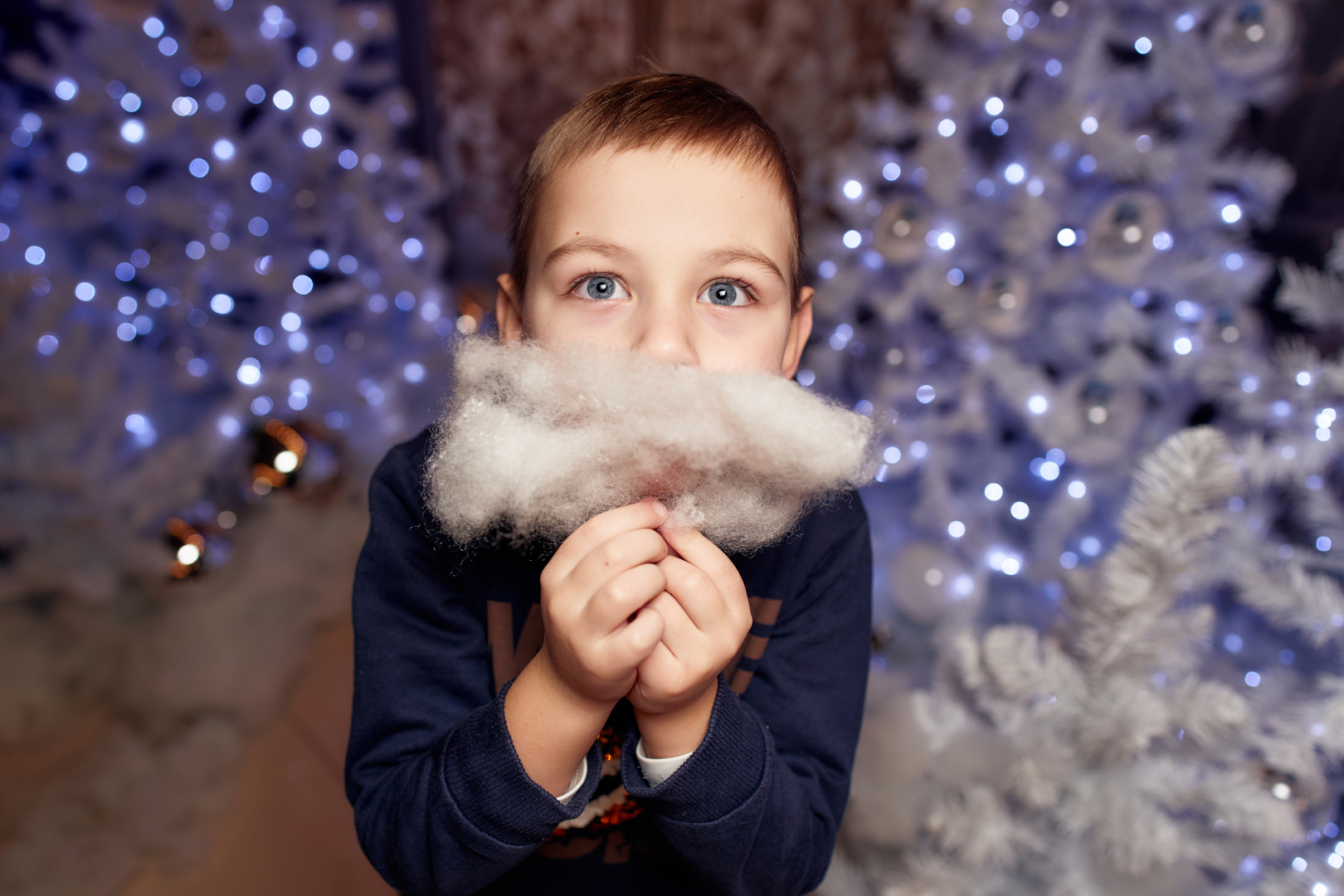 Відкриття &quot;Резиденція Санти&quot; image-0