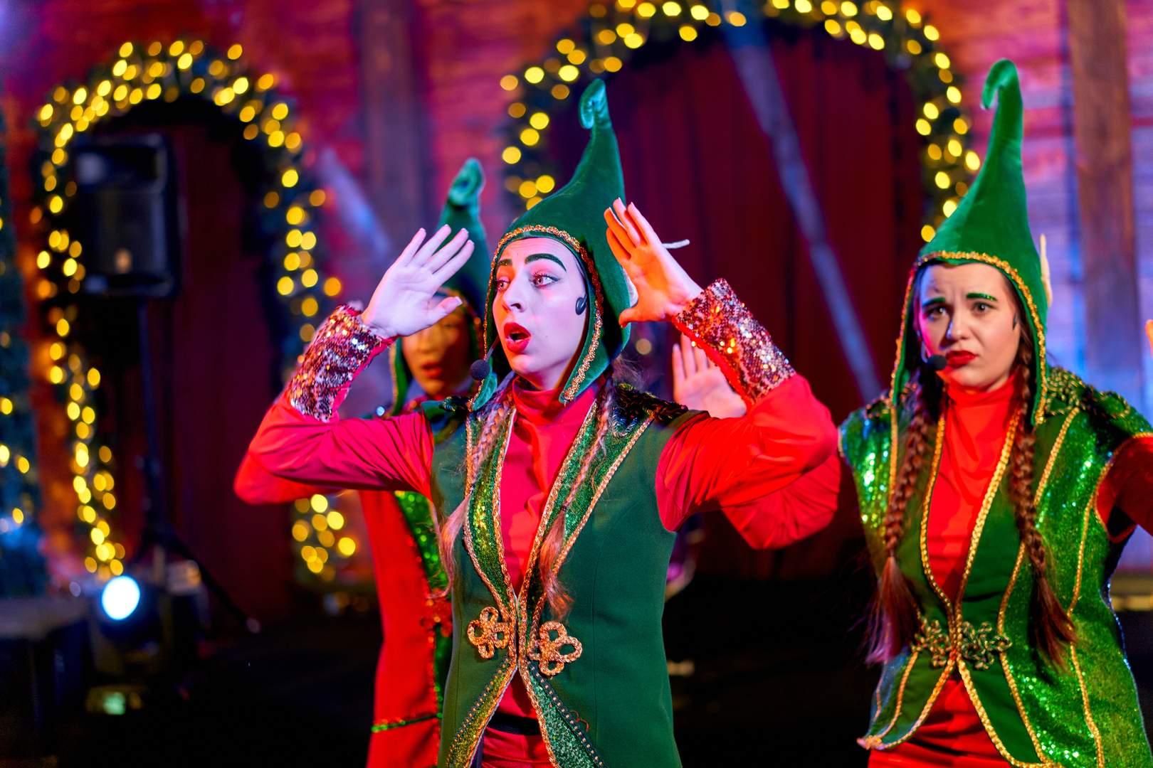 Відкриття &quot;Резиденція Санти&quot; image-11