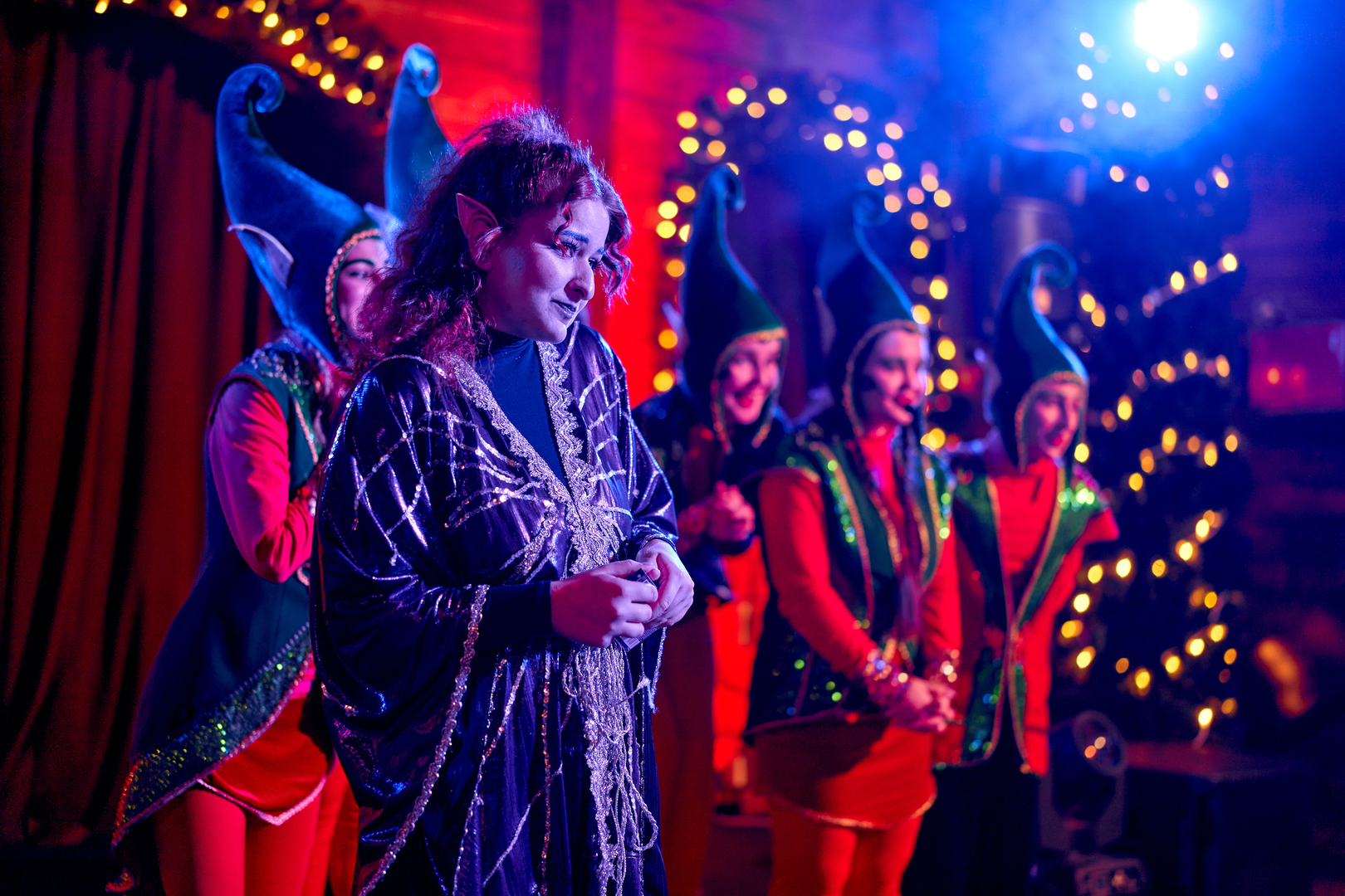 Відкриття &quot;Резиденція Санти&quot; image-26