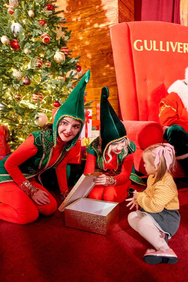 Відкриття &quot;Резиденція Санти&quot; image-41