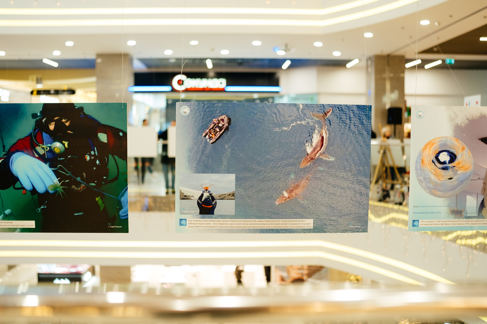 Фотовиставка &quot;Україна в Антарктиці: дослідження та незламність&quot; image-14