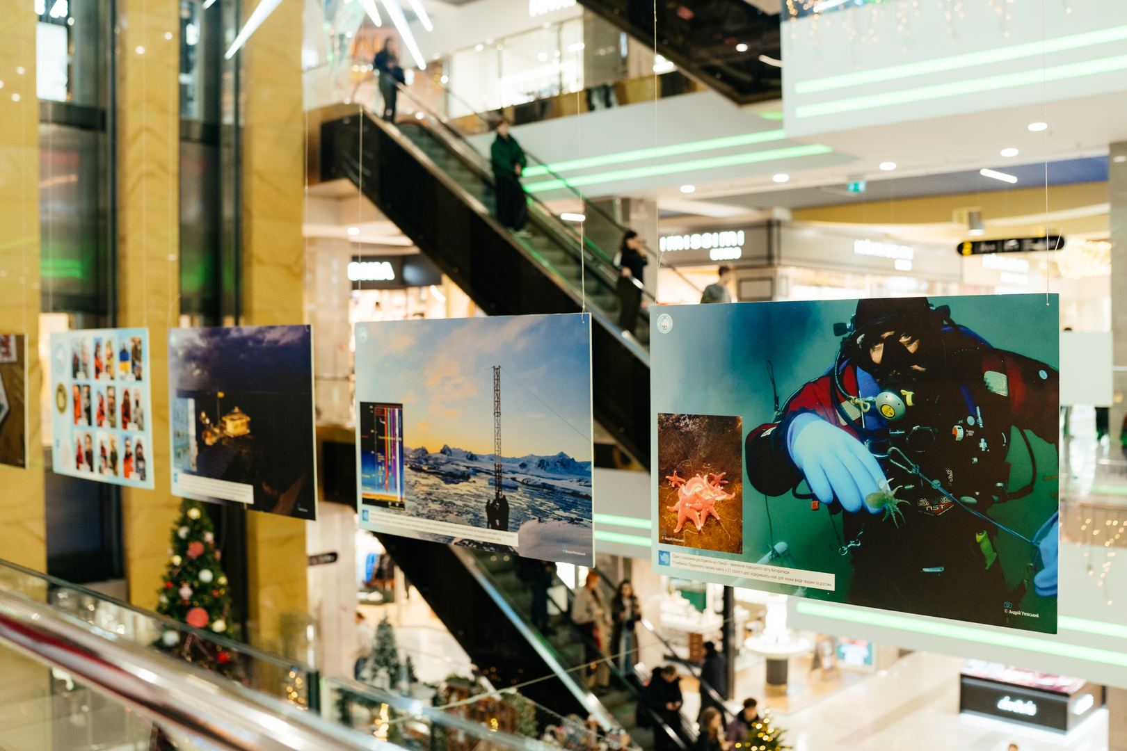 Фотовиставка &quot;Україна в Антарктиці: дослідження та незламність&quot; image-21