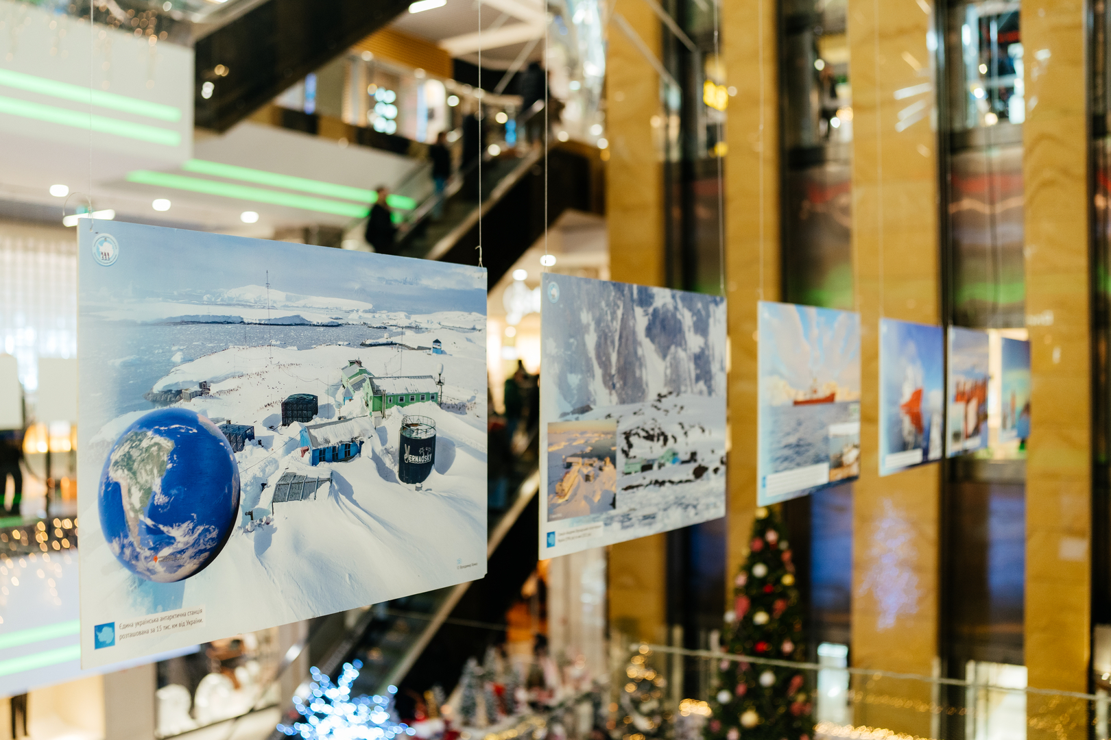 Фотовиставка &quot;Україна в Антарктиці: дослідження та незламність&quot; image-55