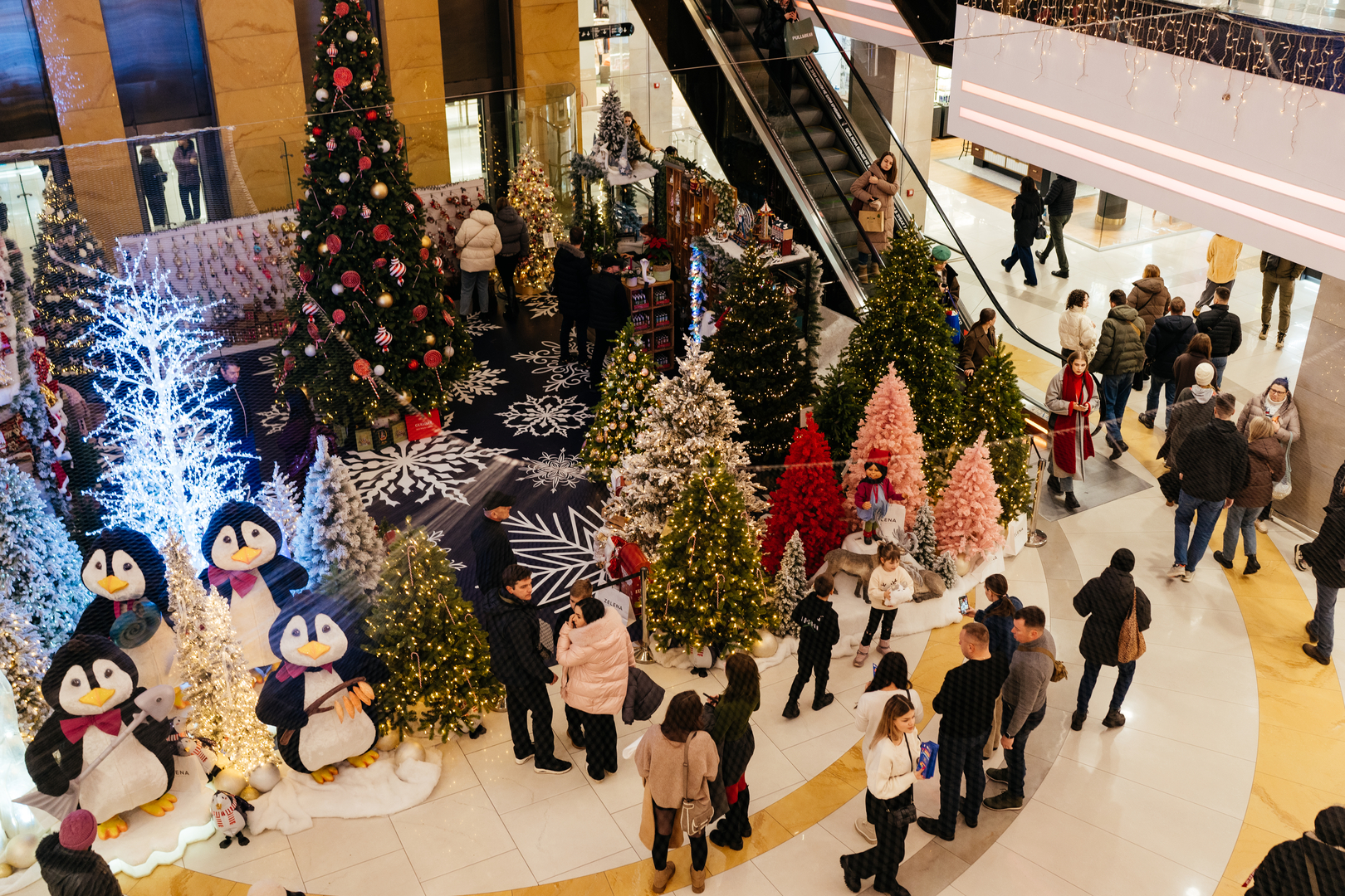 Фотовиставка &quot;Україна в Антарктиці: дослідження та незламність&quot; image-56