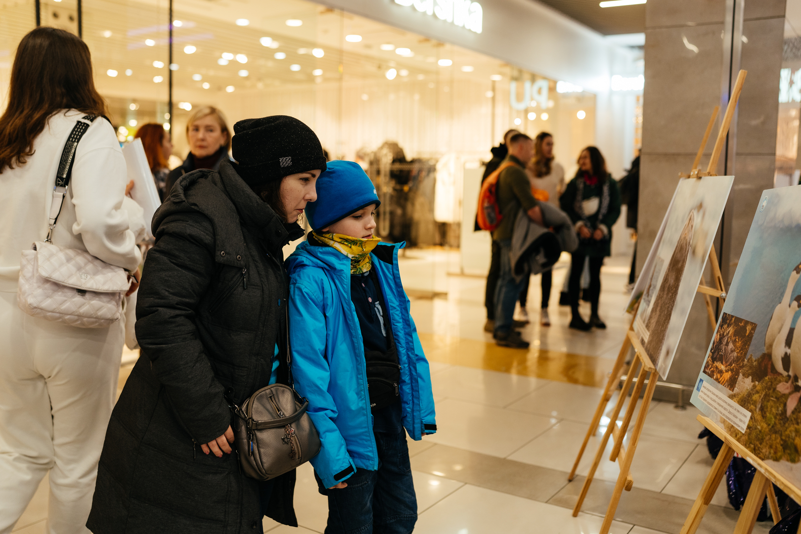 Фотовиставка &quot;Україна в Антарктиці: дослідження та незламність&quot; image-67