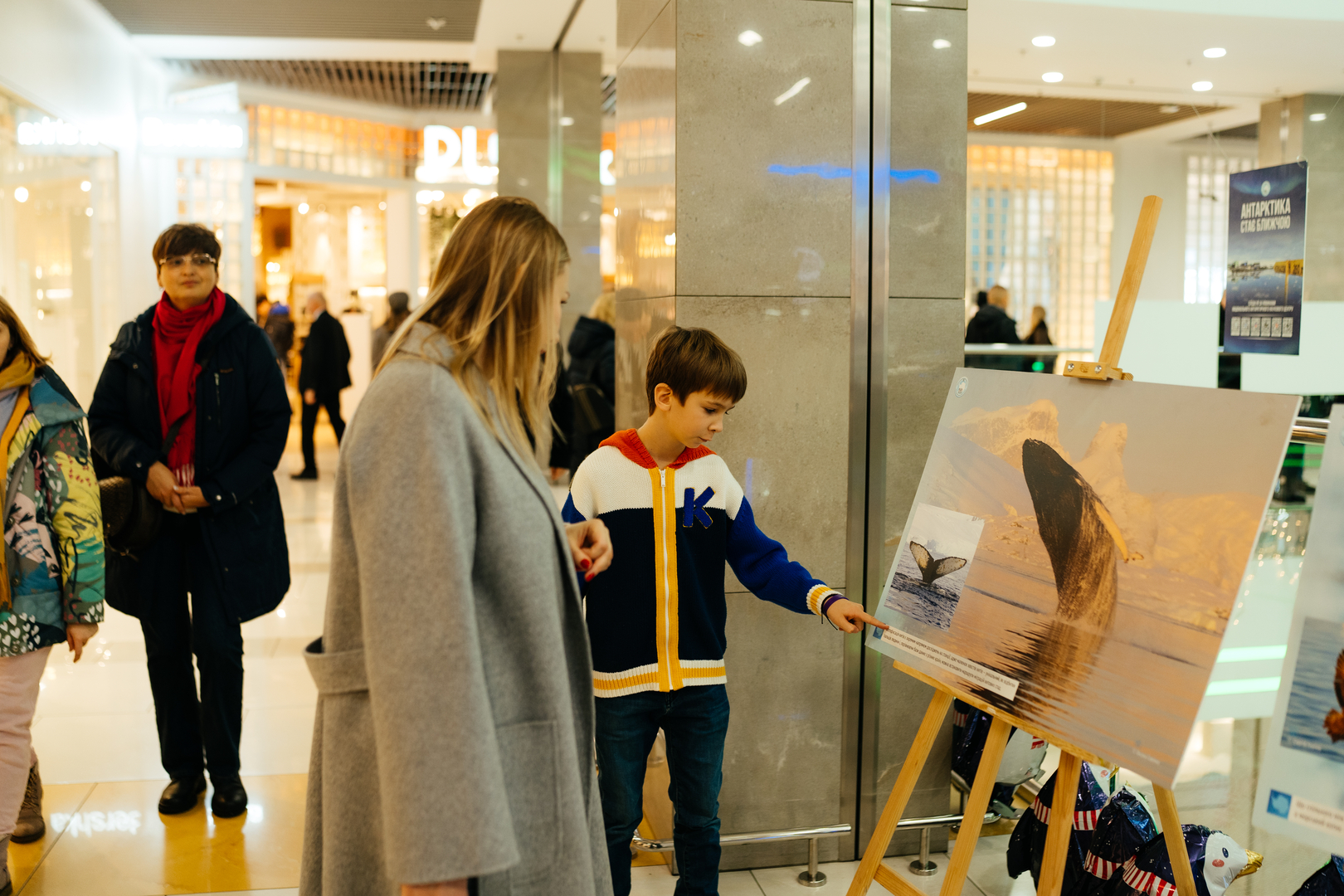 Фотовиставка &quot;Україна в Антарктиці: дослідження та незламність&quot; image-70