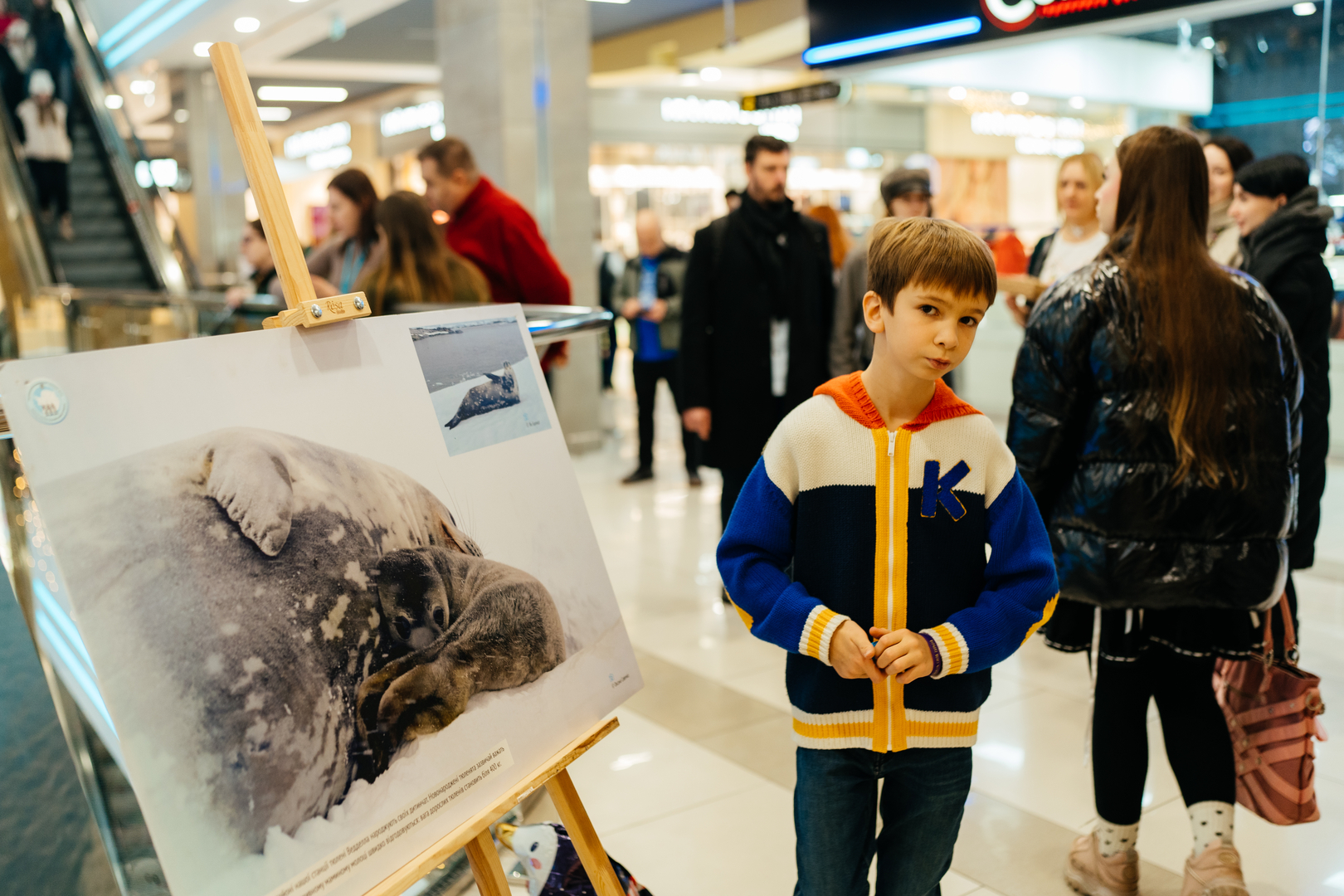 Фотовиставка &quot;Україна в Антарктиці: дослідження та незламність&quot; image-71