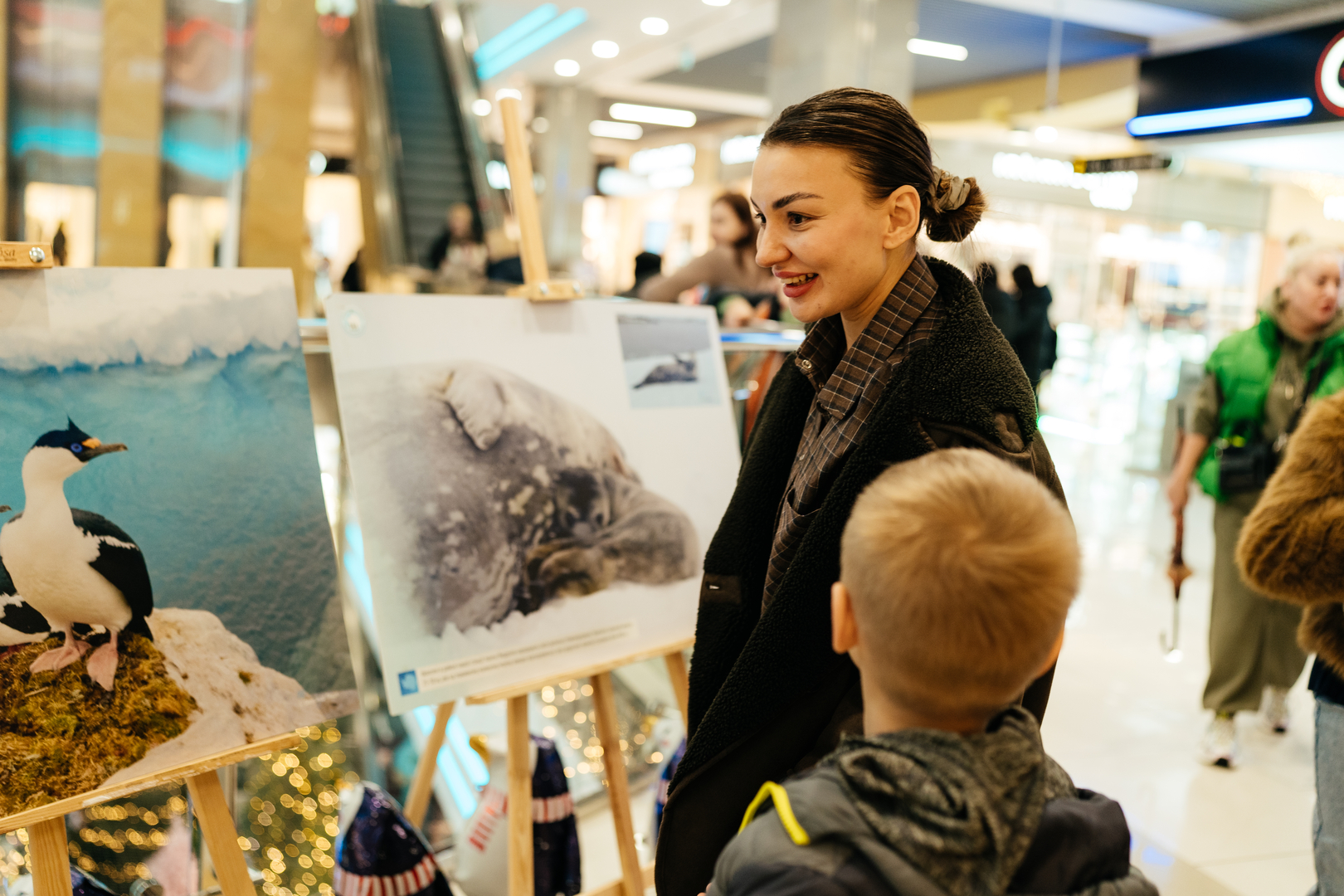Фотовиставка &quot;Україна в Антарктиці: дослідження та незламність&quot; image-72