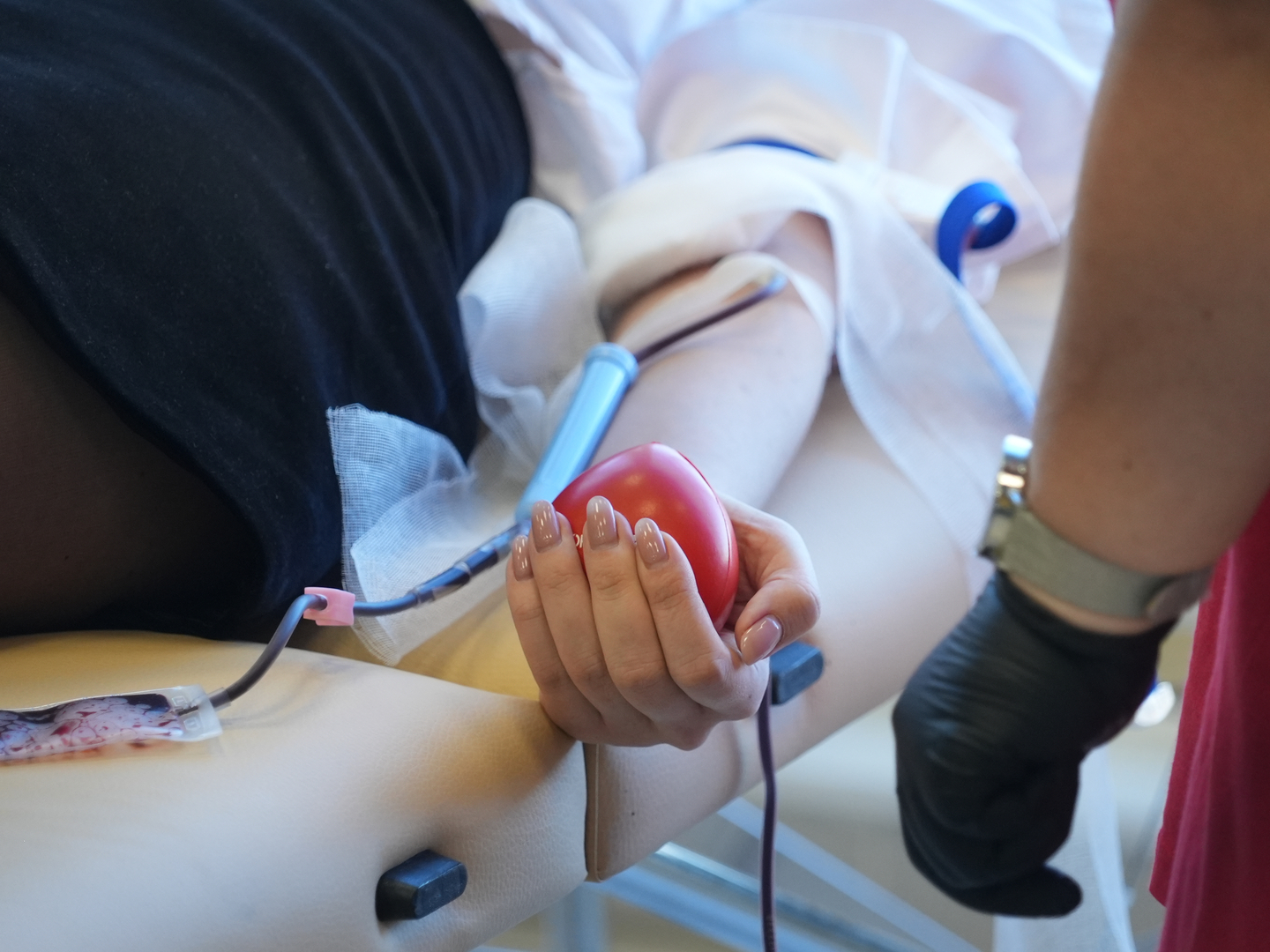  Зіркова донація: долучайся до спільної ініціативи та рятуй життя image-72