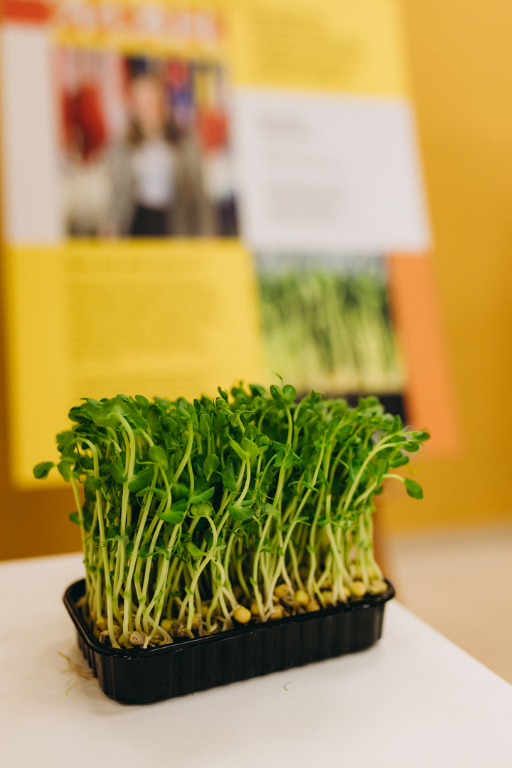 Відкрий портал у науку 2.0 image-68