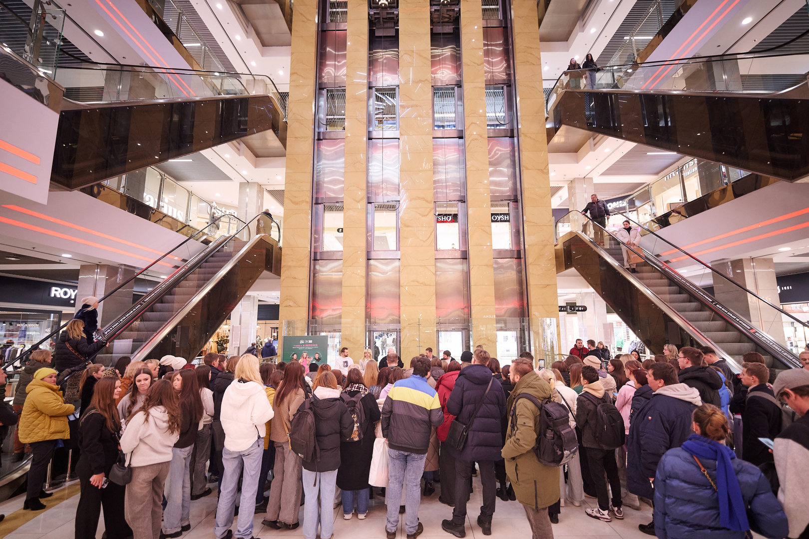 Автограф-сесія з акторами фільму &quot;Песики&quot; image-35