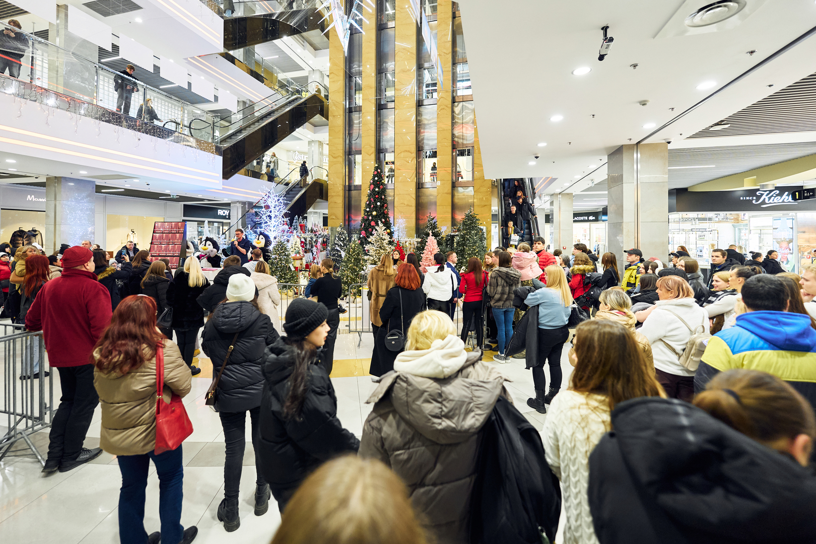 Фан-зустріч Макс Барських image-45